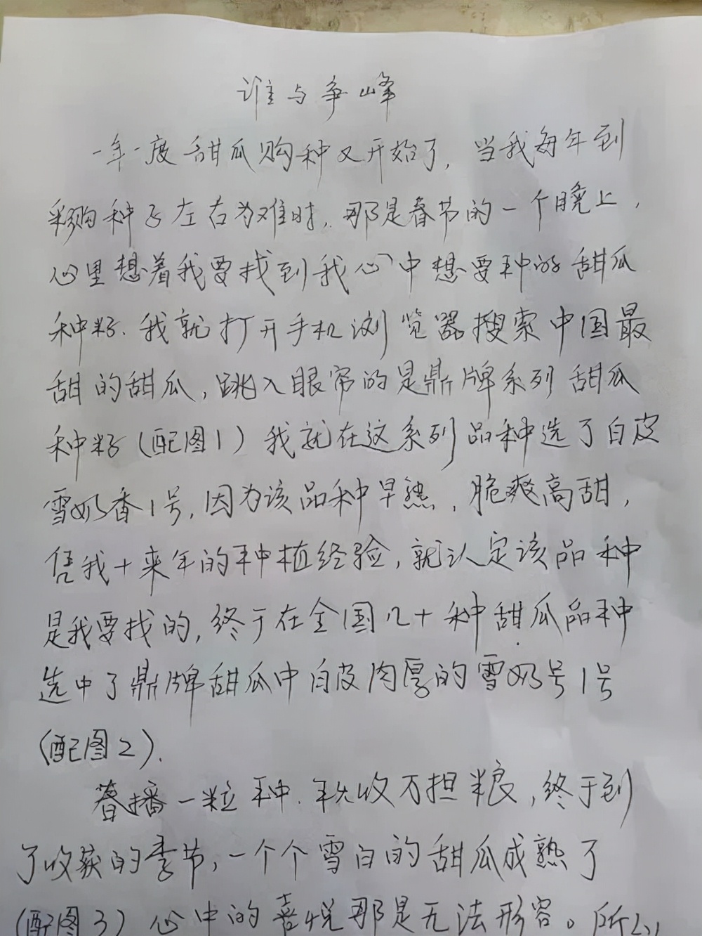 河南焦作的李向林今年種植甜瓜新品種，客戶直接拉貨走人